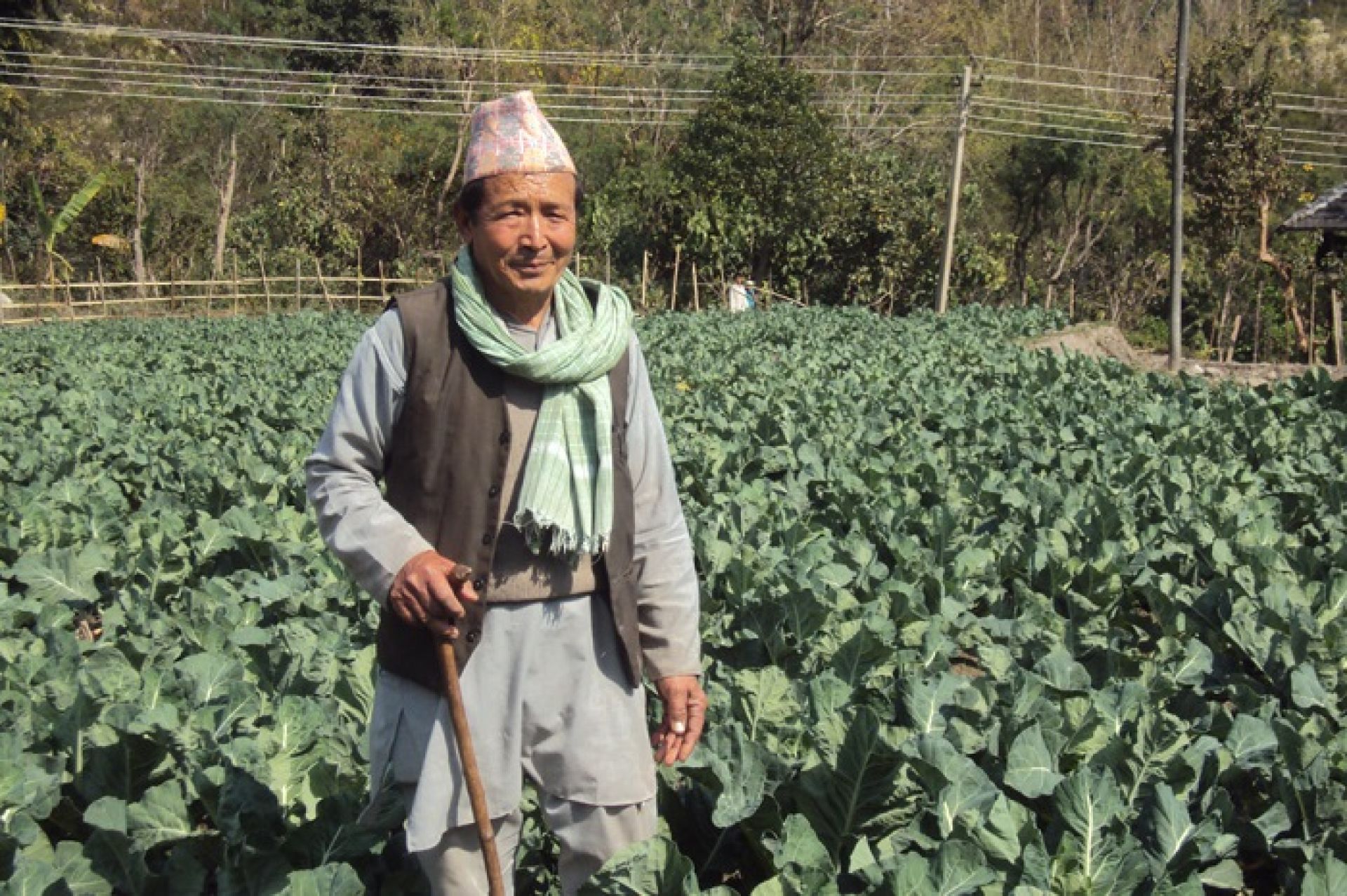 कृषि र पशुपालनबाट वार्षिक १५ लाख कमाउँदै ८० वर्षीय वृद्ध